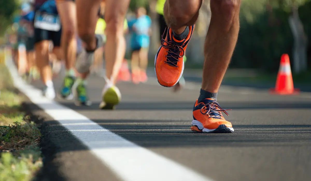 courses à pied dans le Morbihan en 2025