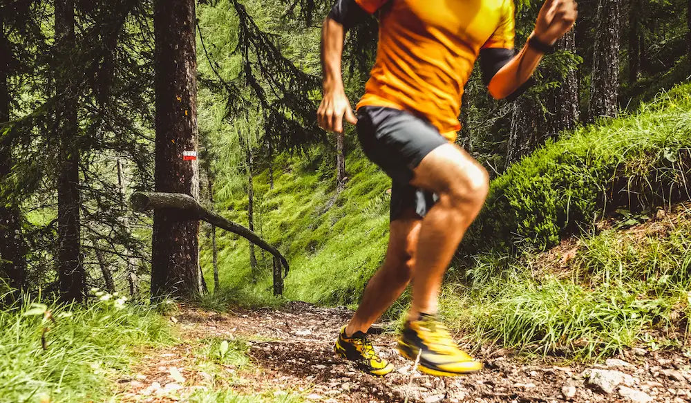 calendrier trail bretagne