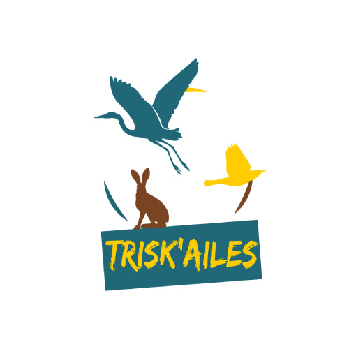 logo Asso Trisk'ailes