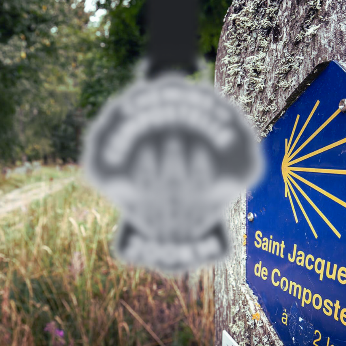 Challenge 50km des Chemins de Compostelle